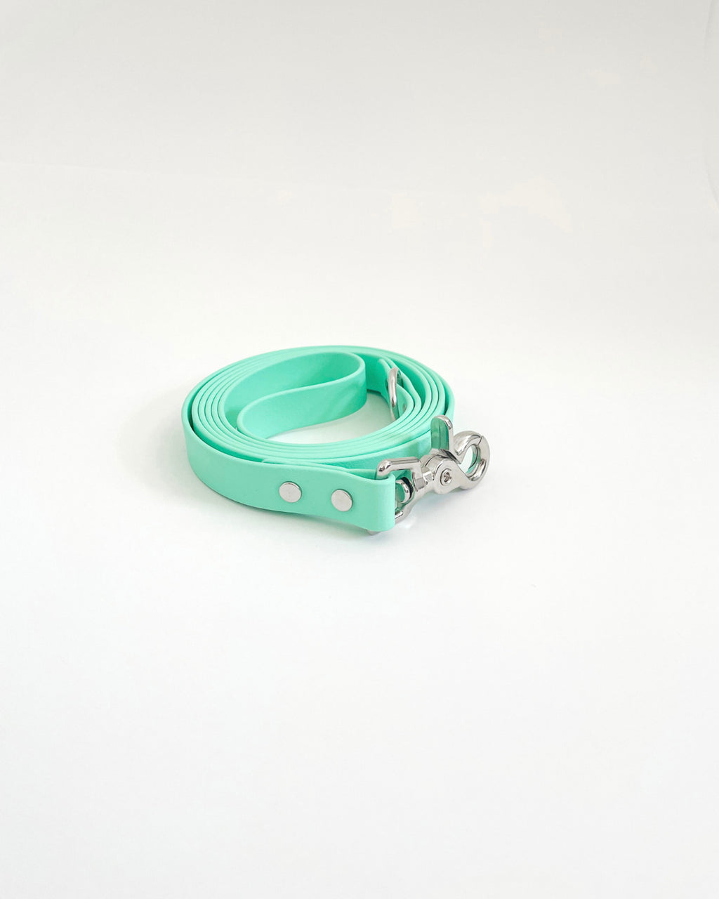 Classic Leash image 8