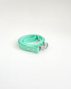 Classic Leash image 8