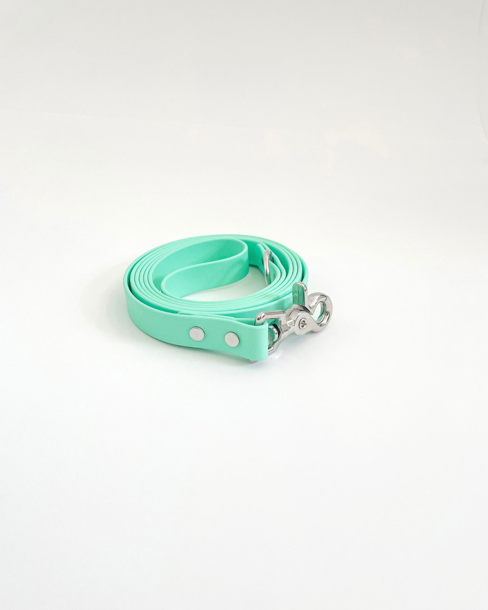 Classic Leash image 8