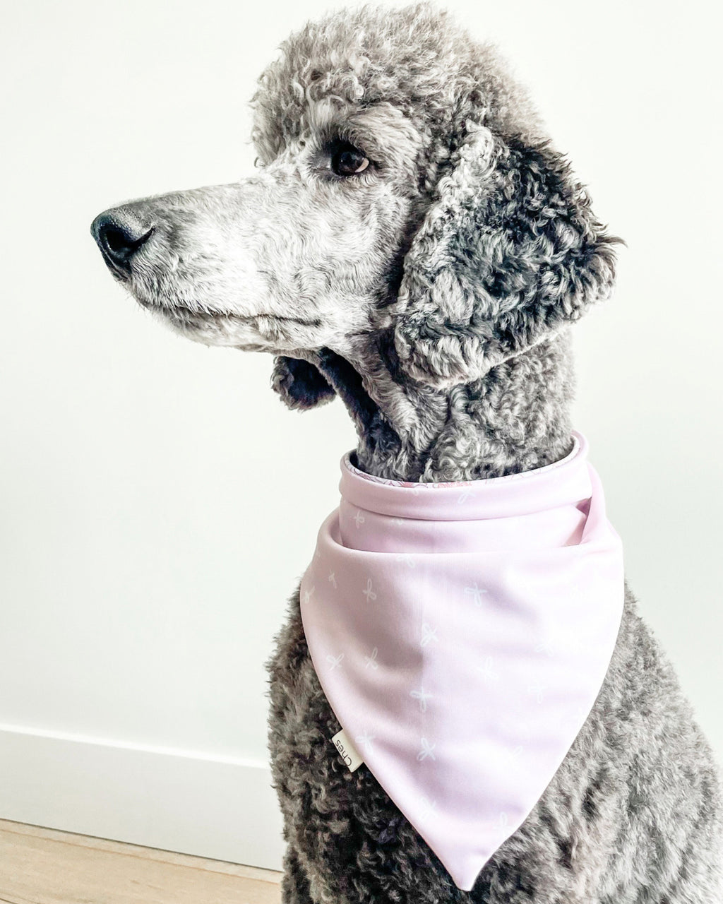 Blossom & Bows image 4