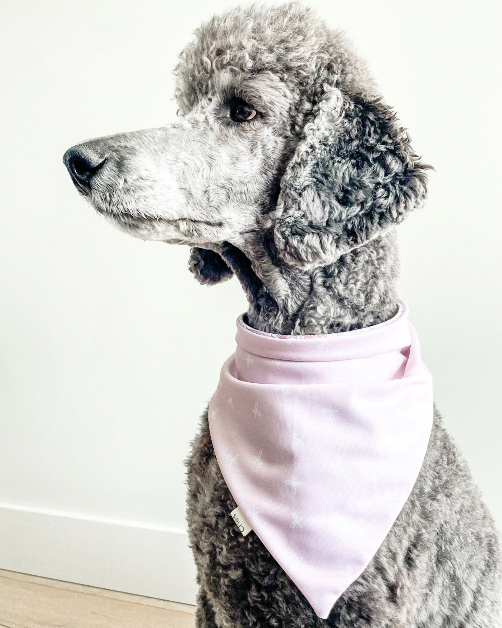 Blossom & Bows image 4