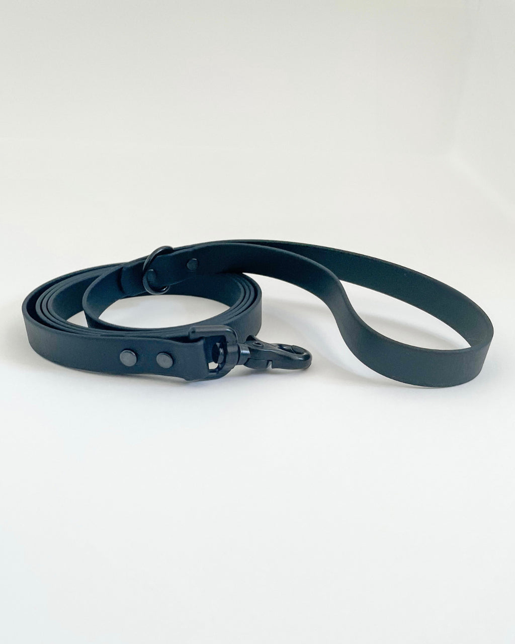 Classic Leash image 5