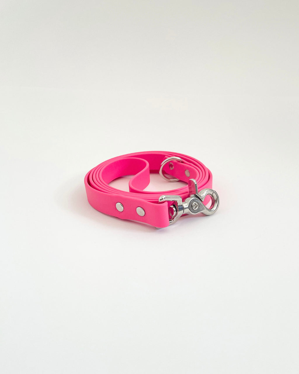 Classic Leash image 10