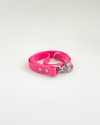 Classic Leash image 10