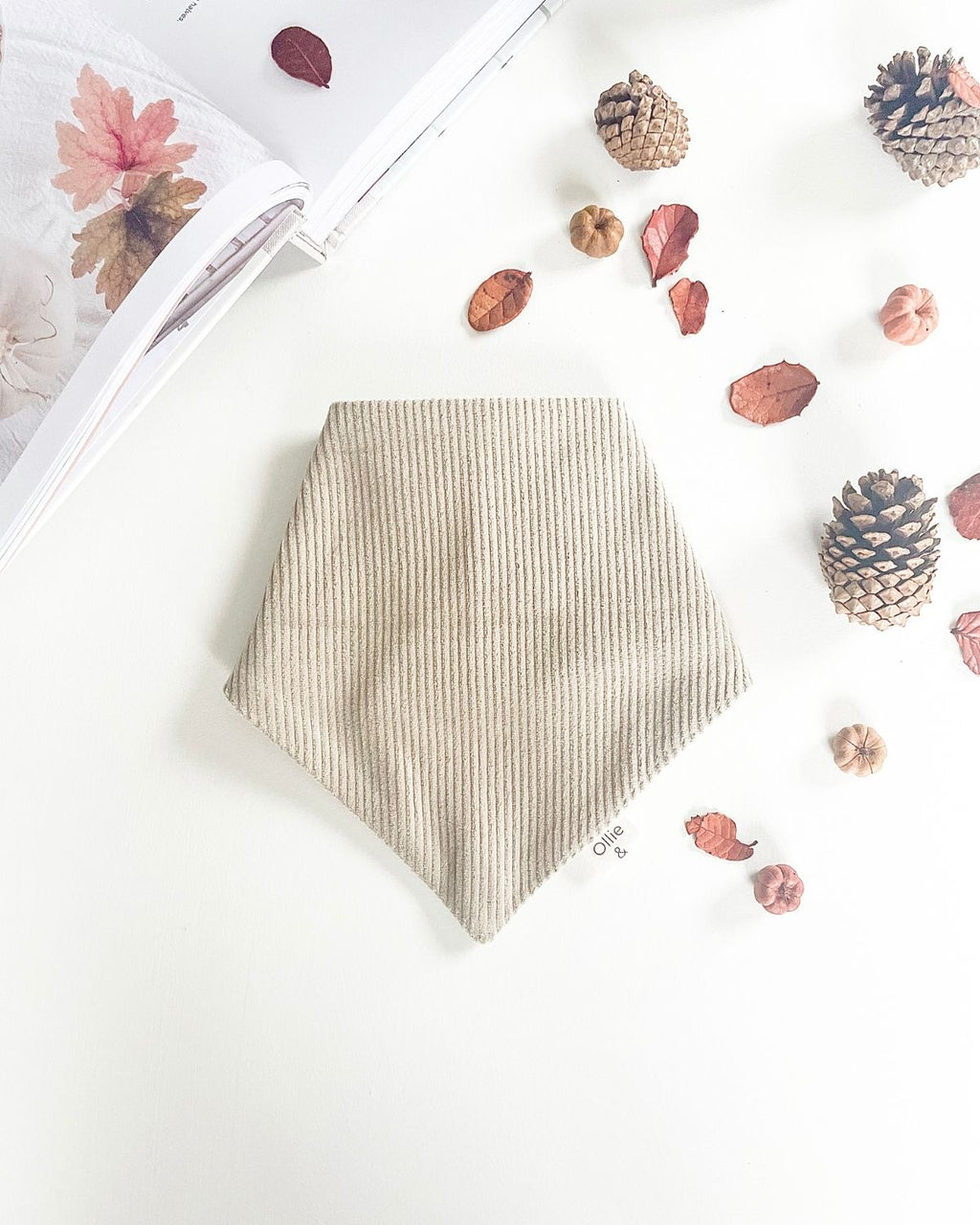 Corduroy Charm image 0