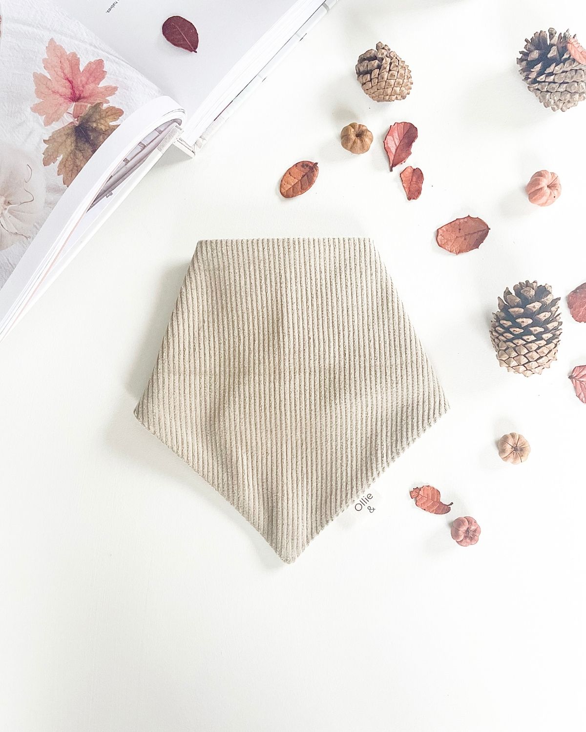 Corduroy Charm image 0