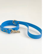 Classic Leash image 7