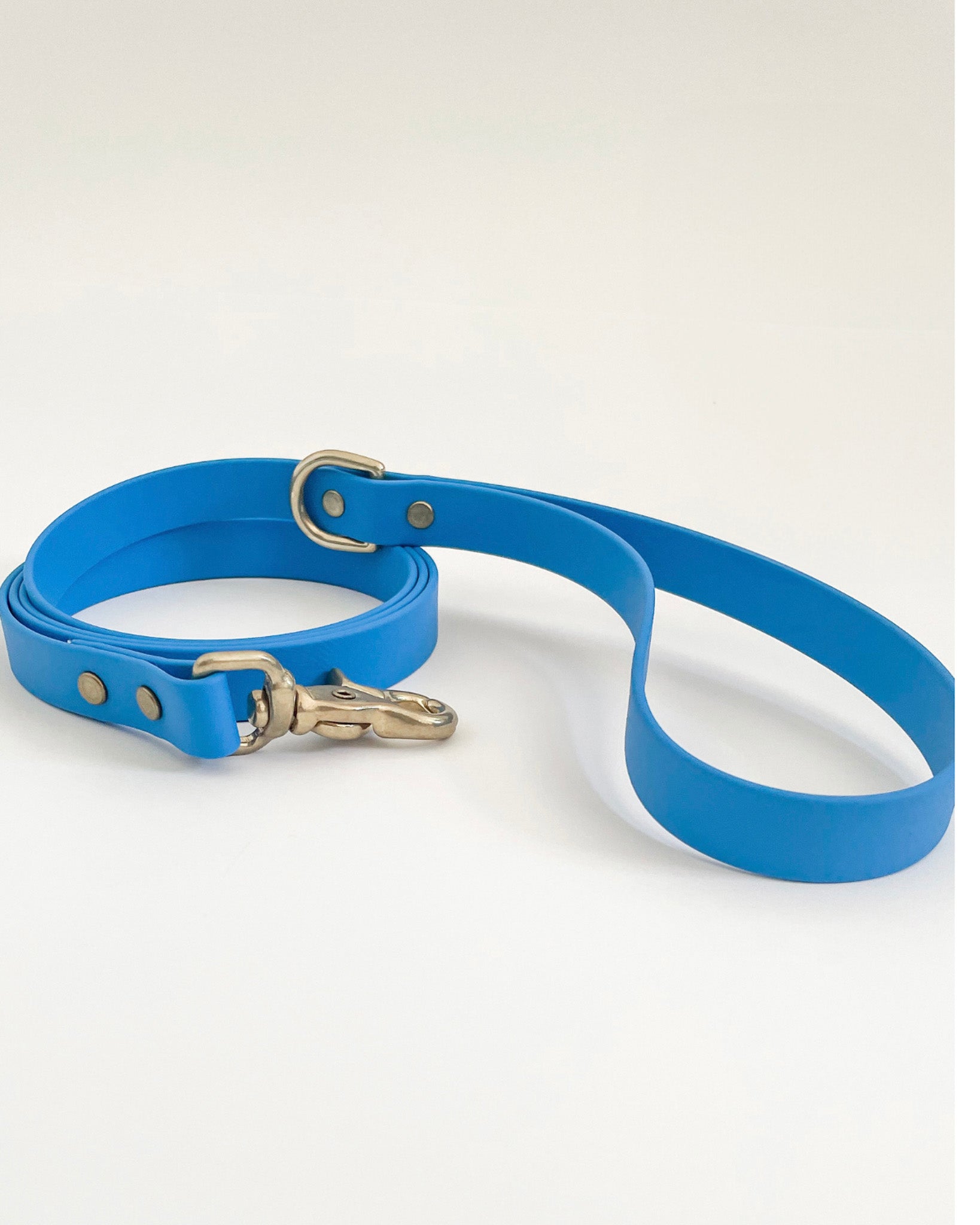 Classic Leash image 7