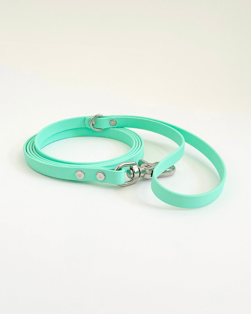 Thin Classic Leash image 6