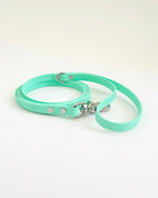 Thin Classic Leash image 6