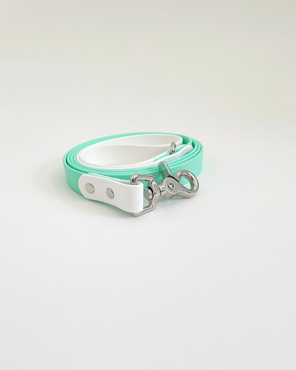 Two Tone Classic Leash image 4