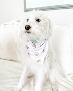 Unbearably Cute image 3