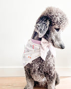 Cherry on Top image 5