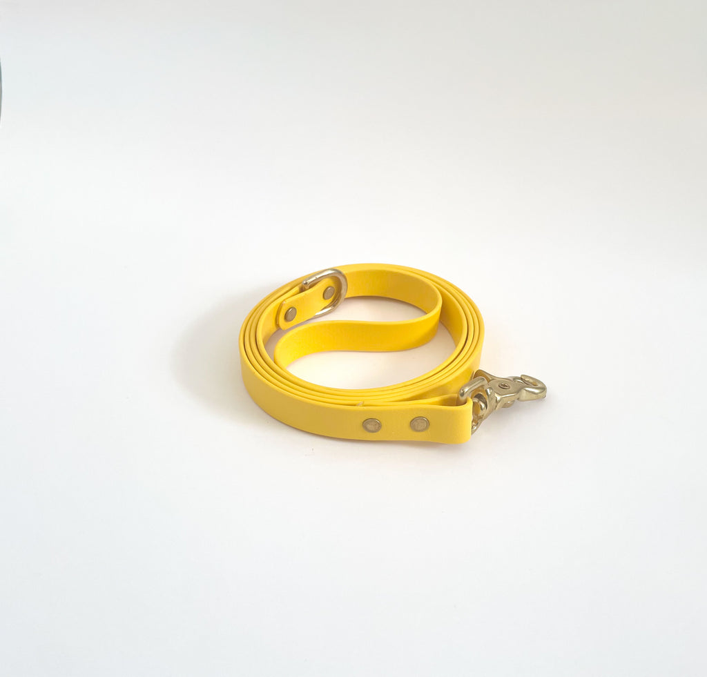 Classic Leash
