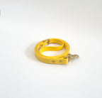 Classic Leash