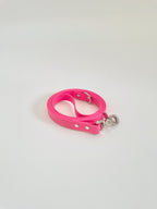 Classic Leash