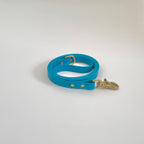 Classic Leash
