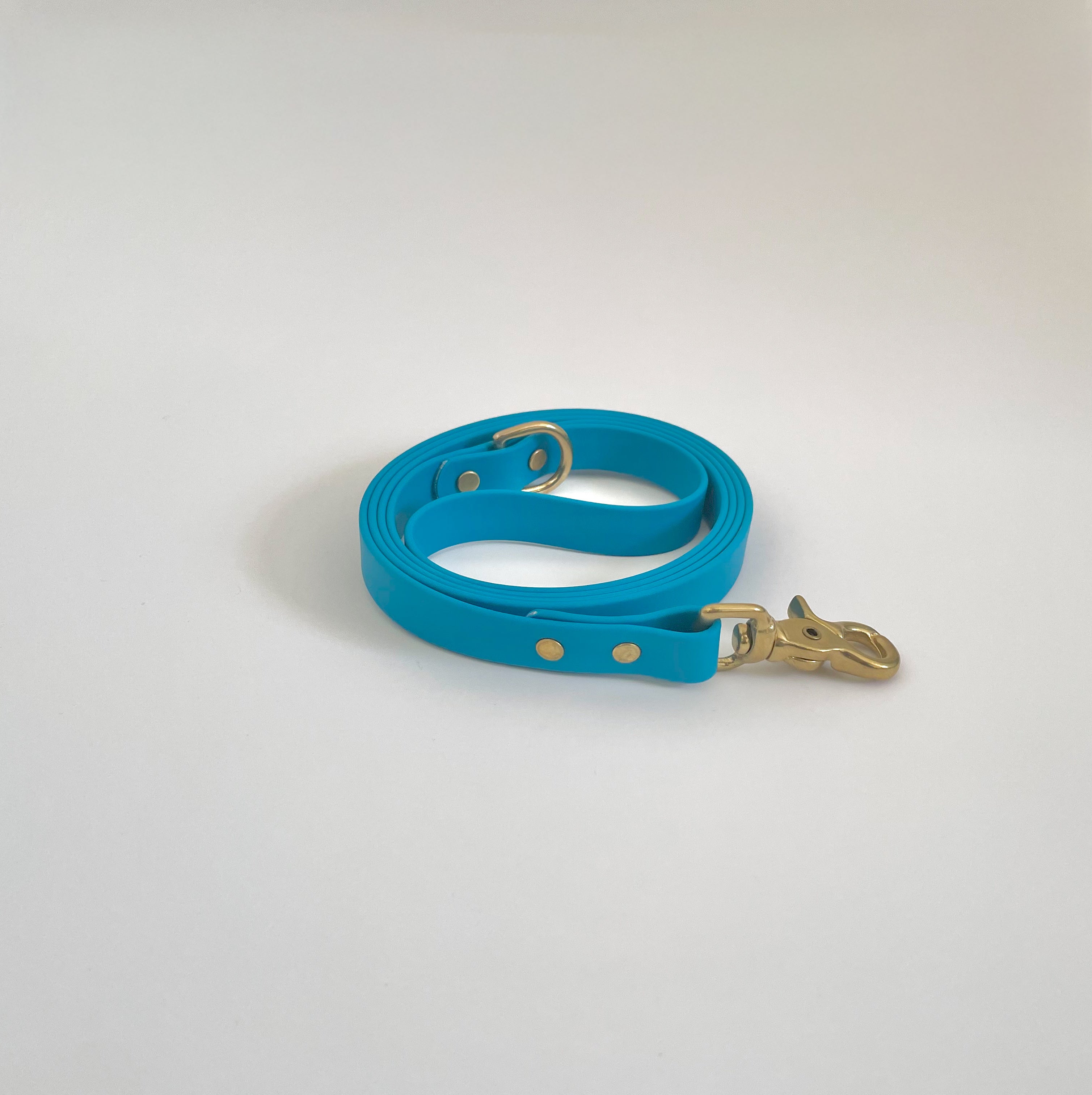 Classic Leash