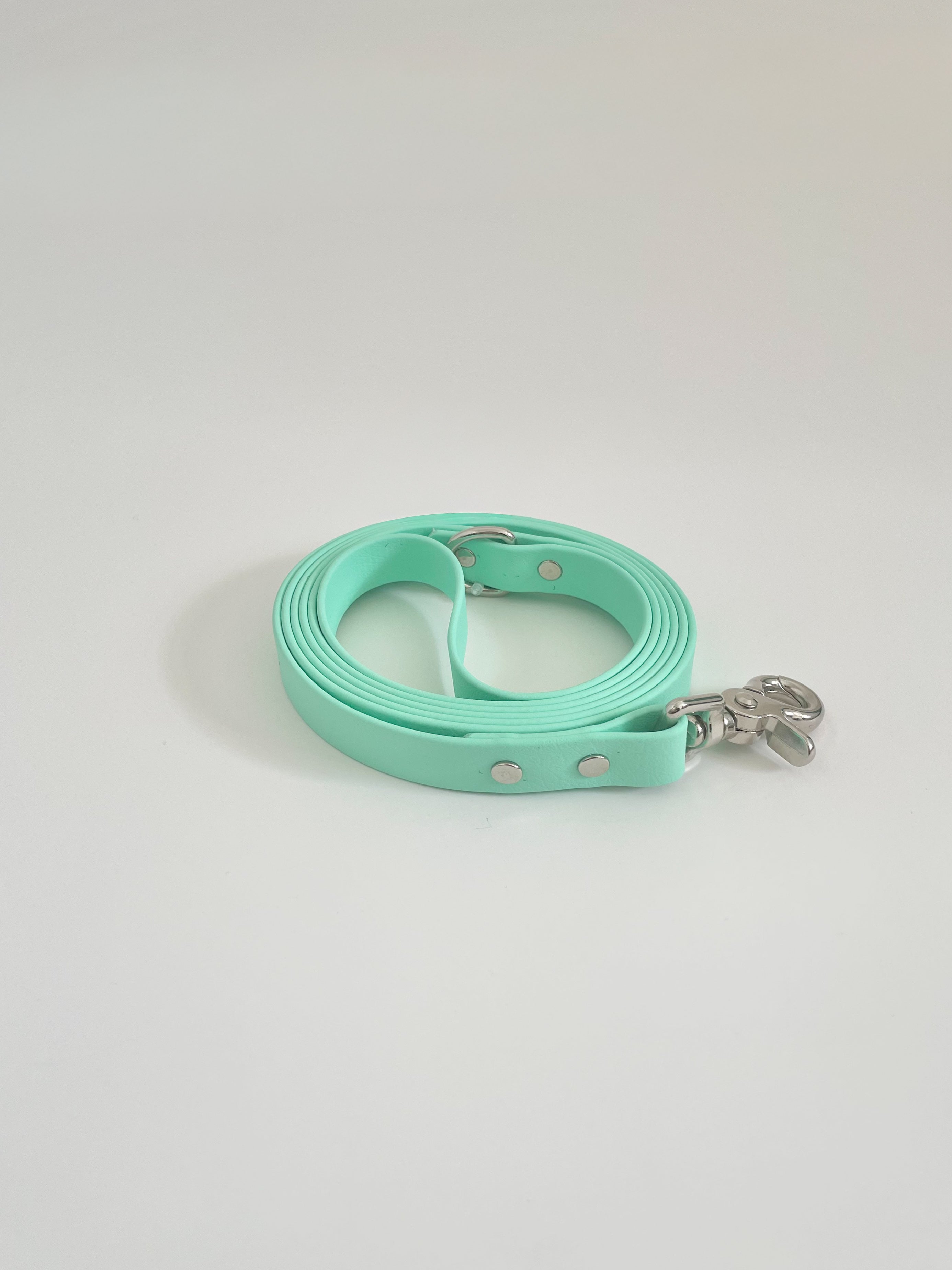 Classic Leash
