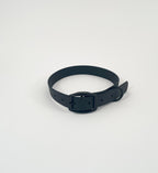 Classic Collar
