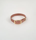 Classic Collar