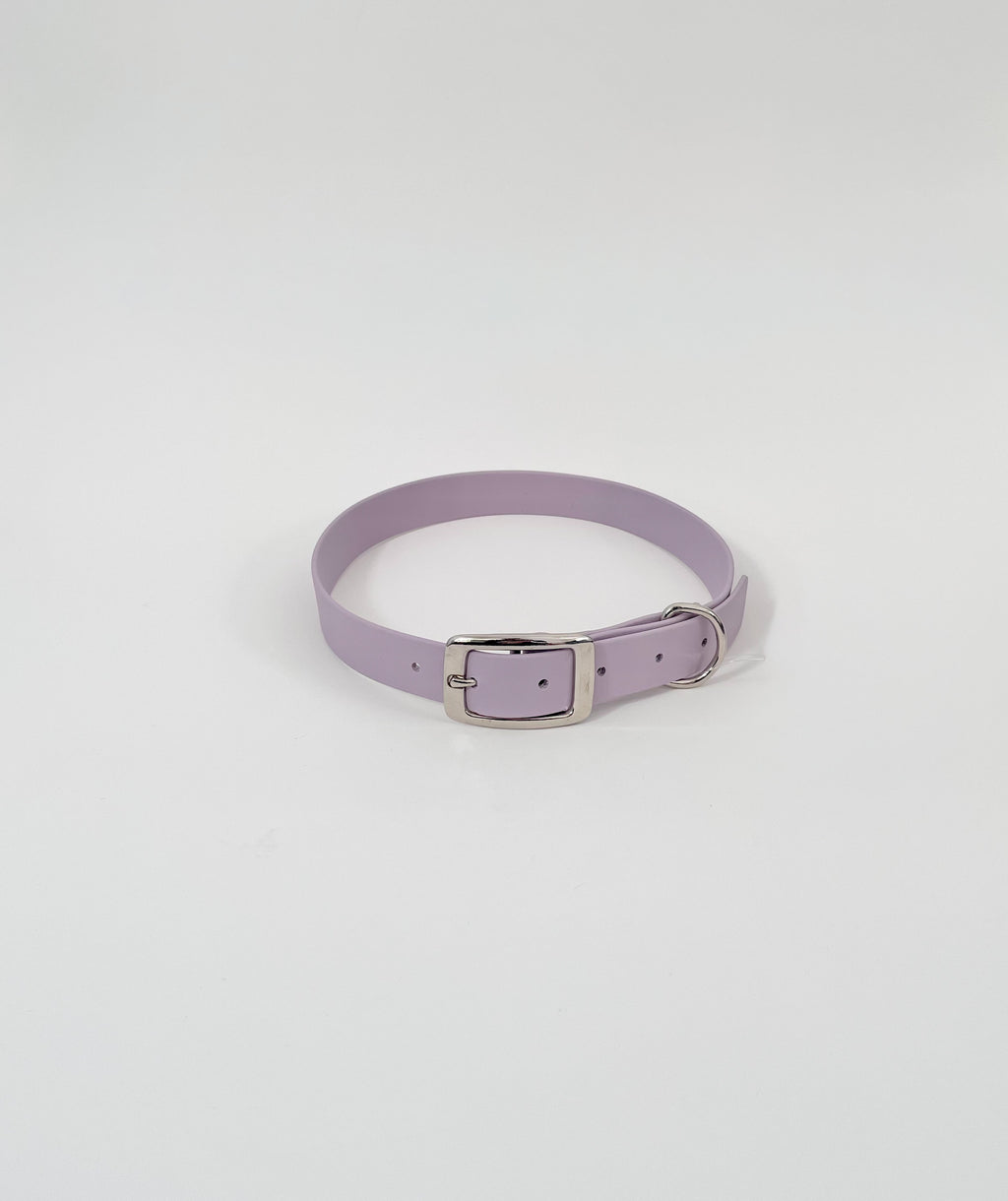 Classic Collar