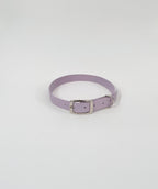 Classic Collar