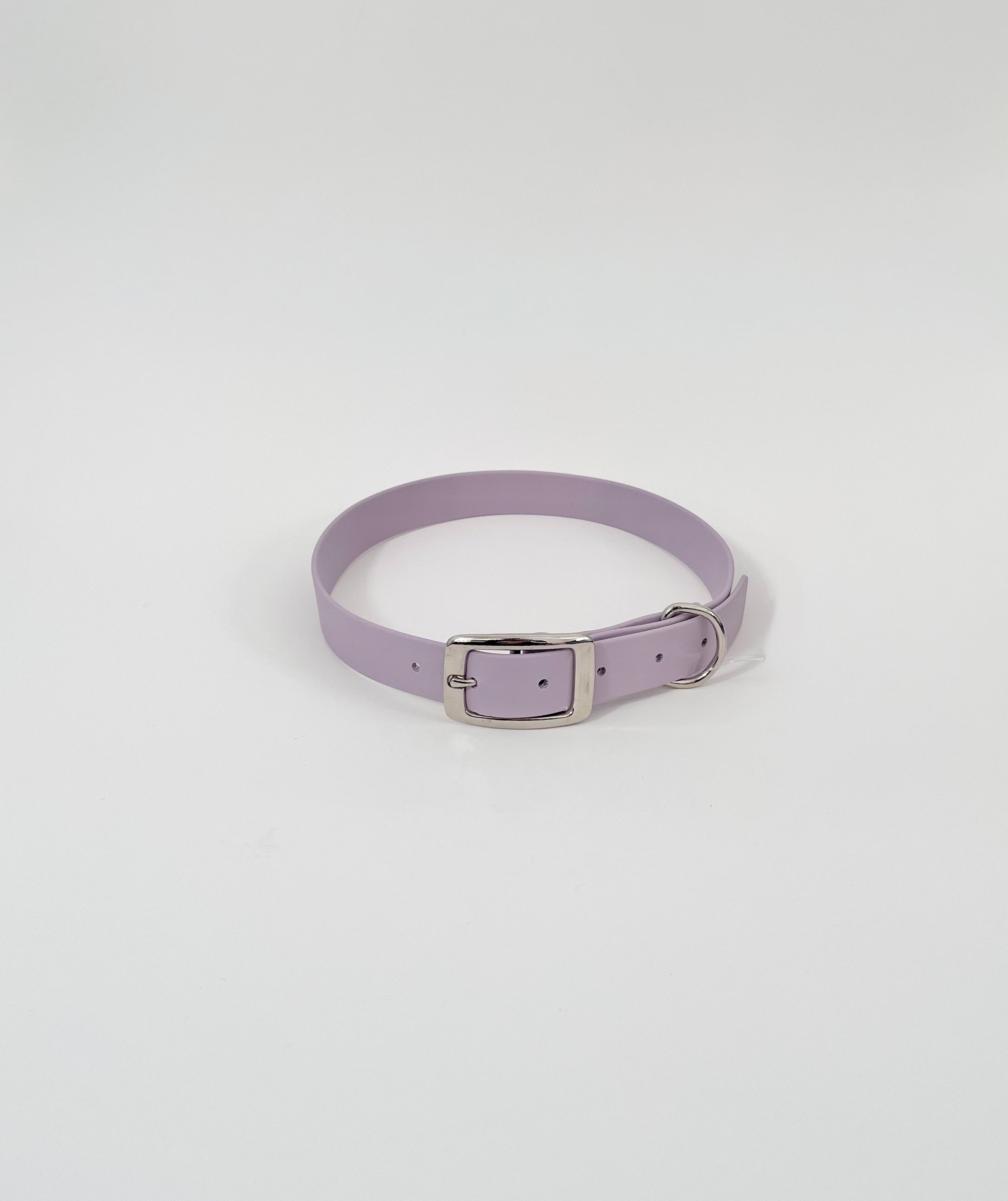 Classic Collar