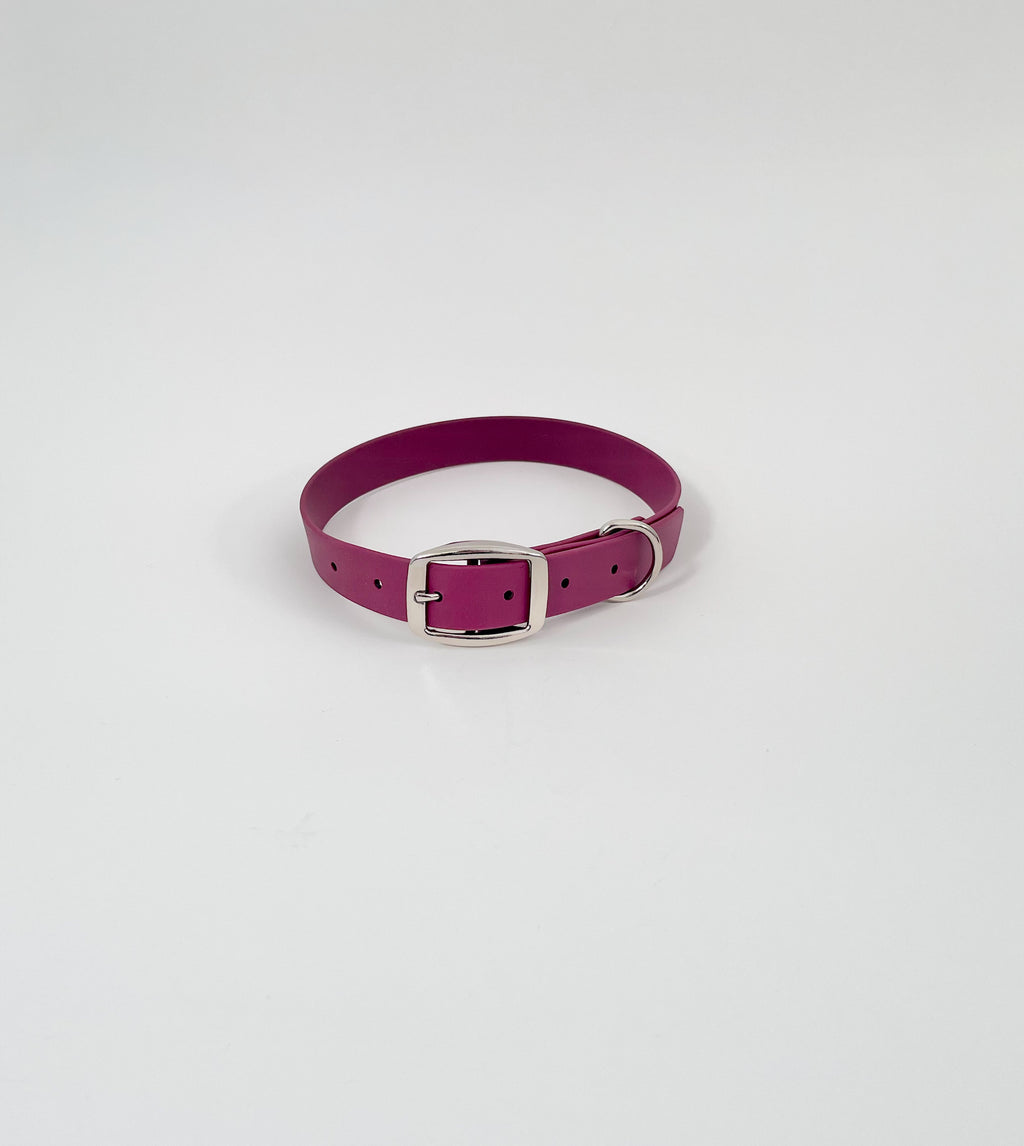 Classic Collar