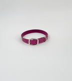 Classic Collar