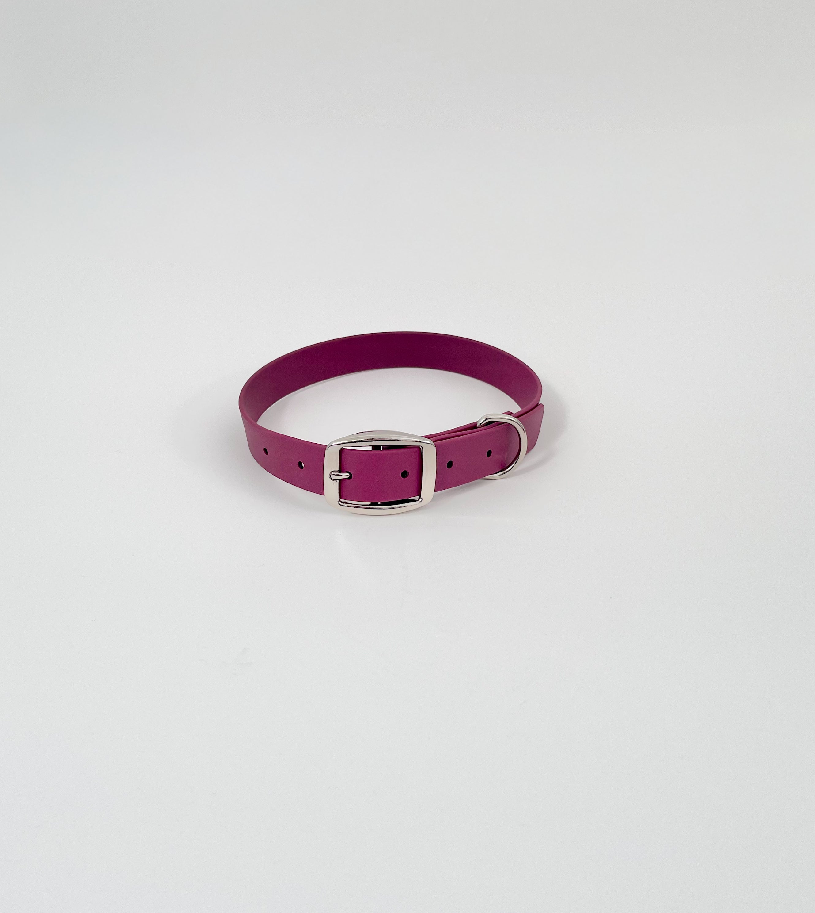 Classic Collar