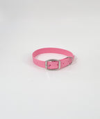 Brunch Classic Collar