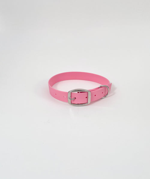 Brunch Classic Collar