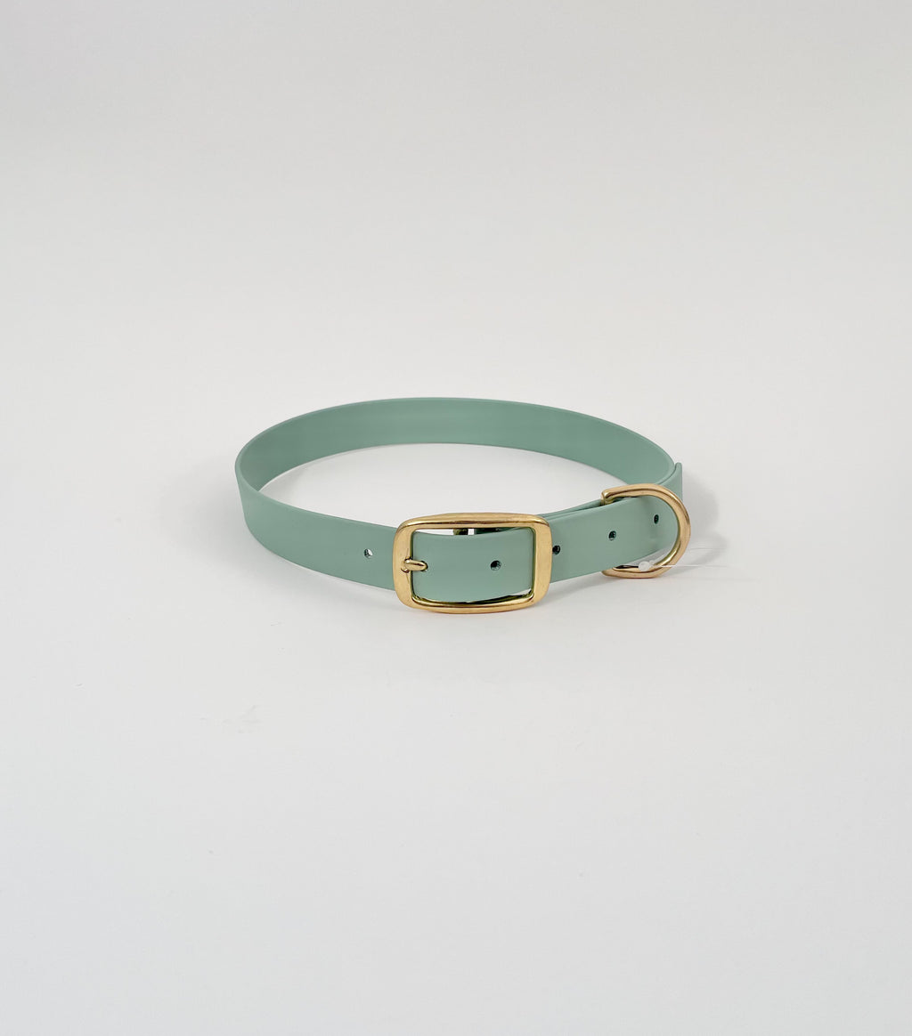 Classic Collar