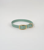 Classic Collar