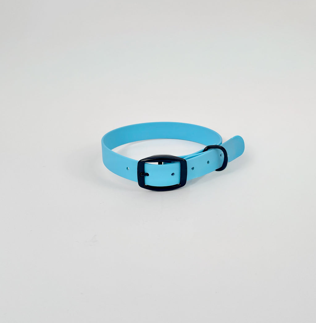 Classic Collar