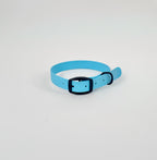Classic Collar