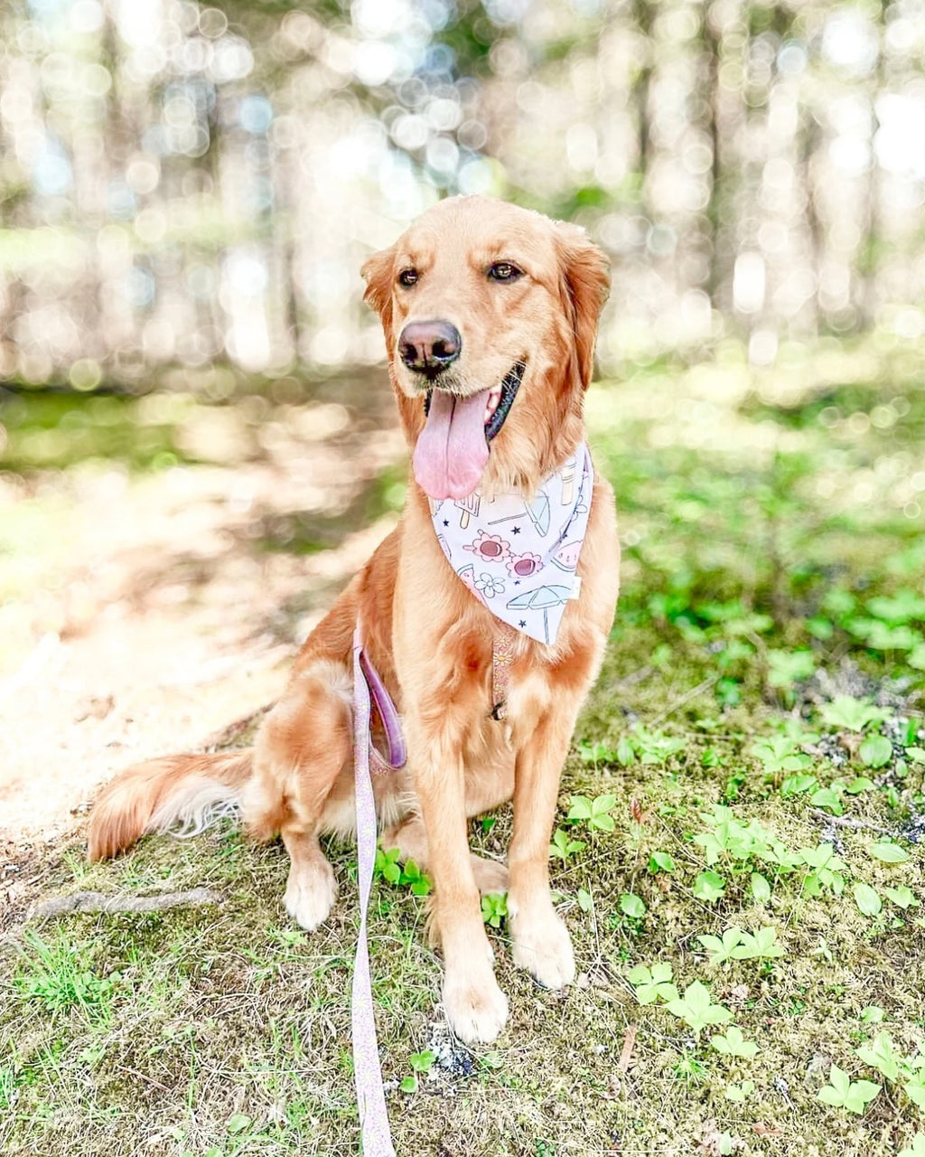 Cool Girl Summer image 2