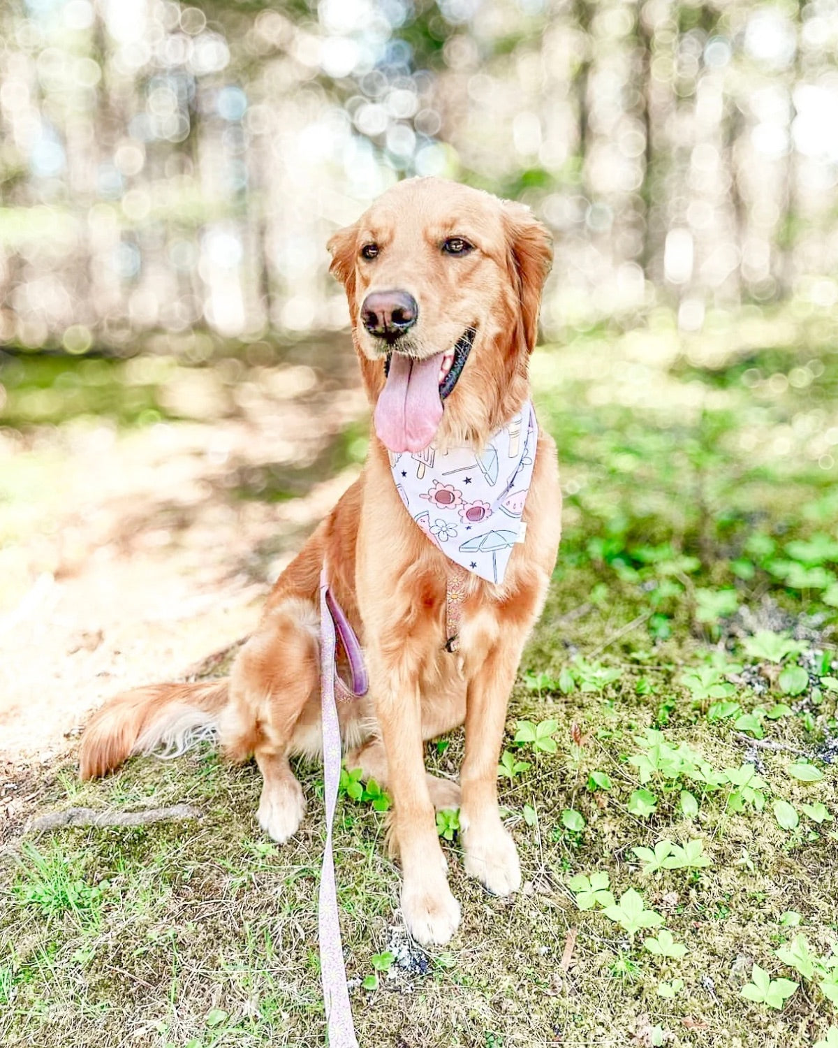 Cool Girl Summer image 2