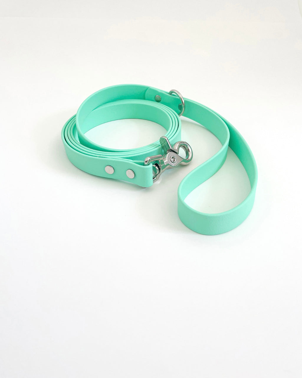 Classic Leash image 9