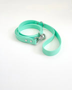 Classic Leash image 9