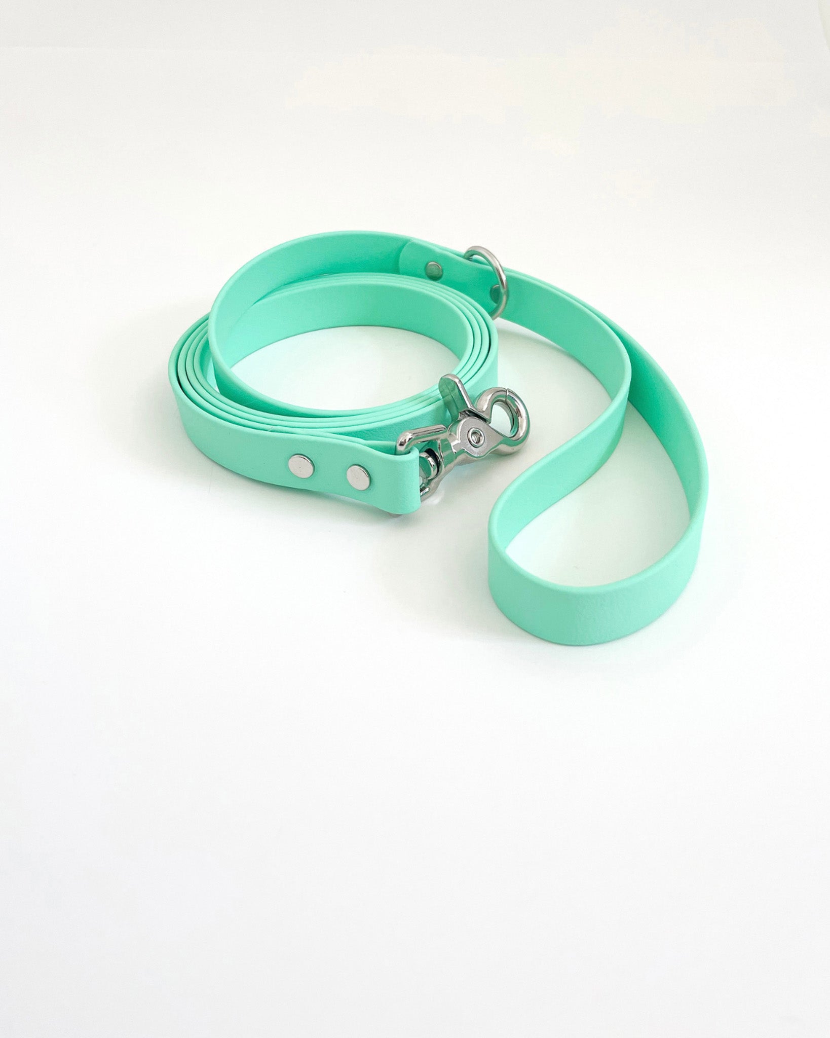 Classic Leash image 9