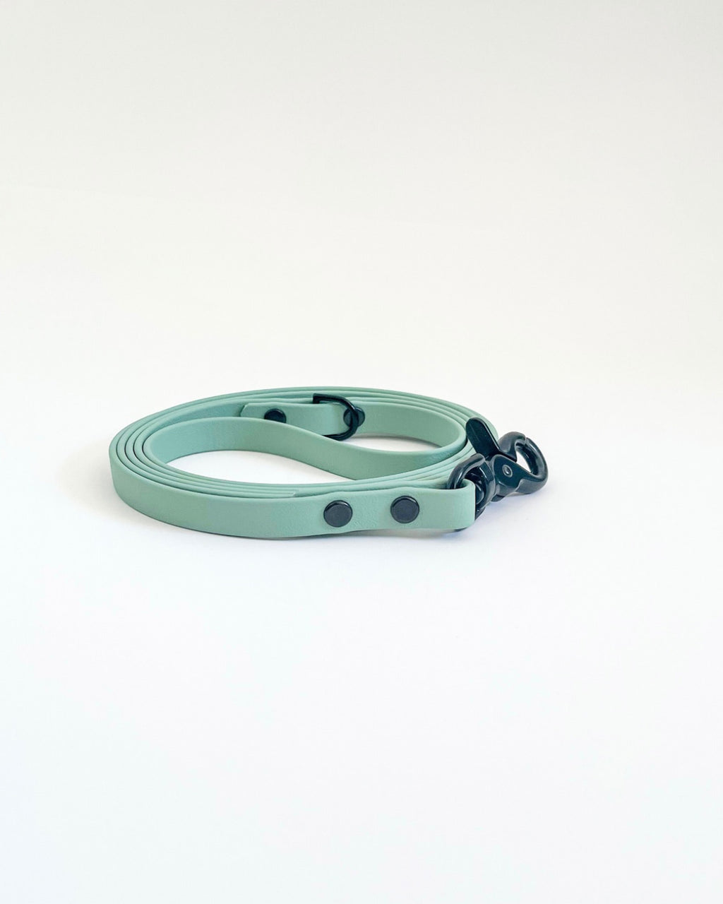 Thin Classic Leash image 10