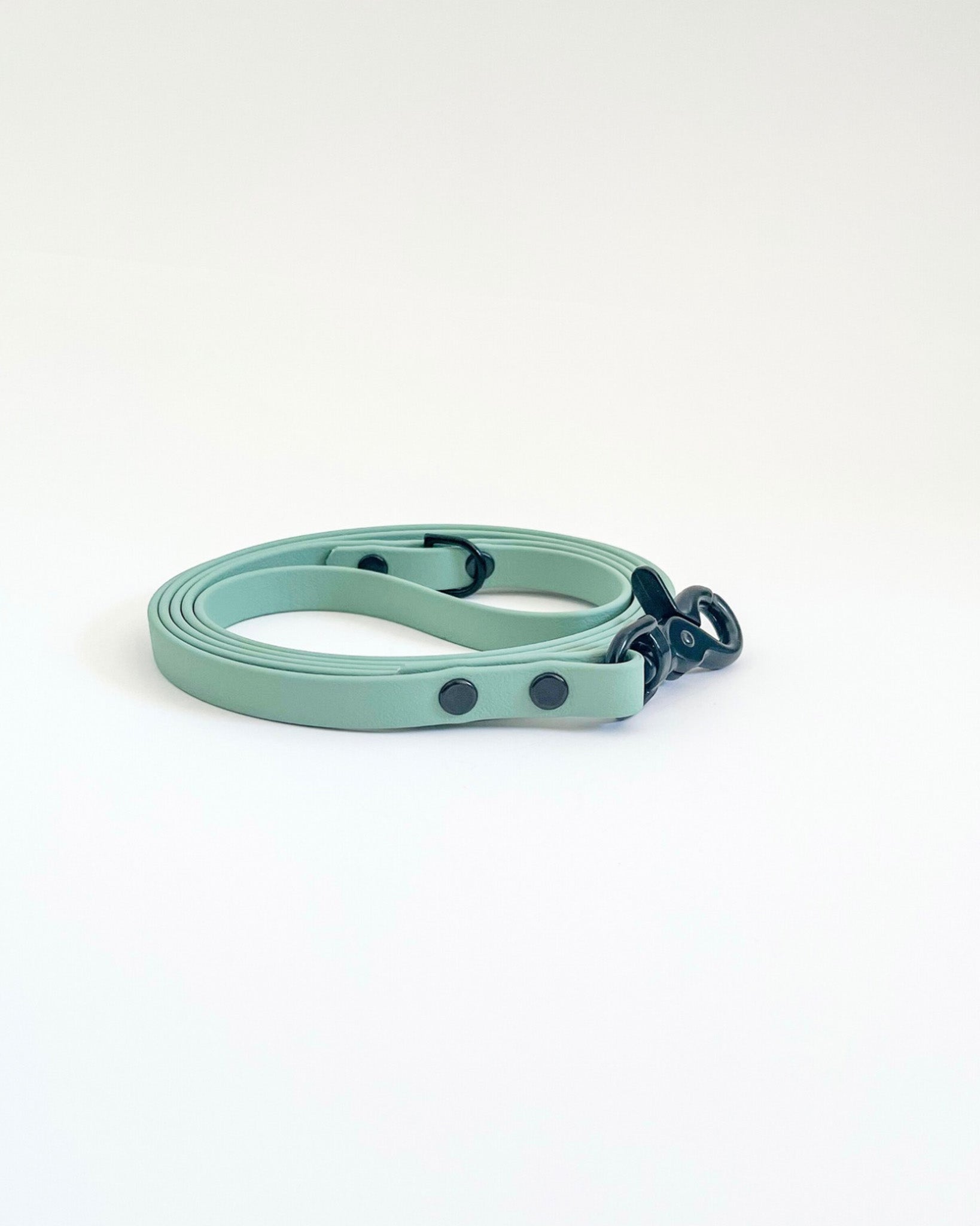 Thin Classic Leash image 10