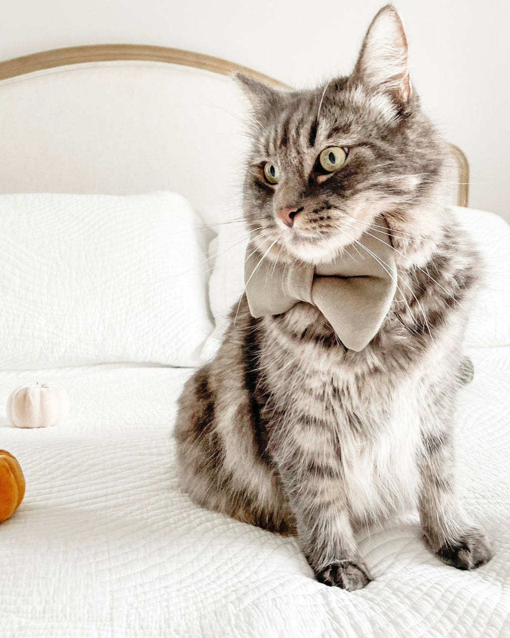 Brown Plaid Sailor Bow image 2