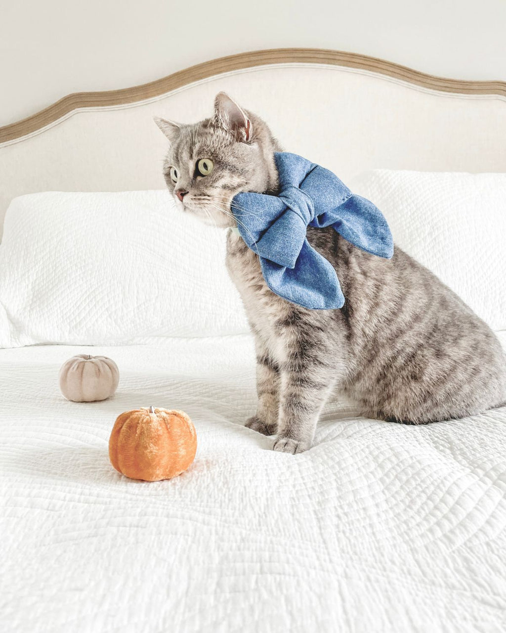 Denim Sailor Bow image 2