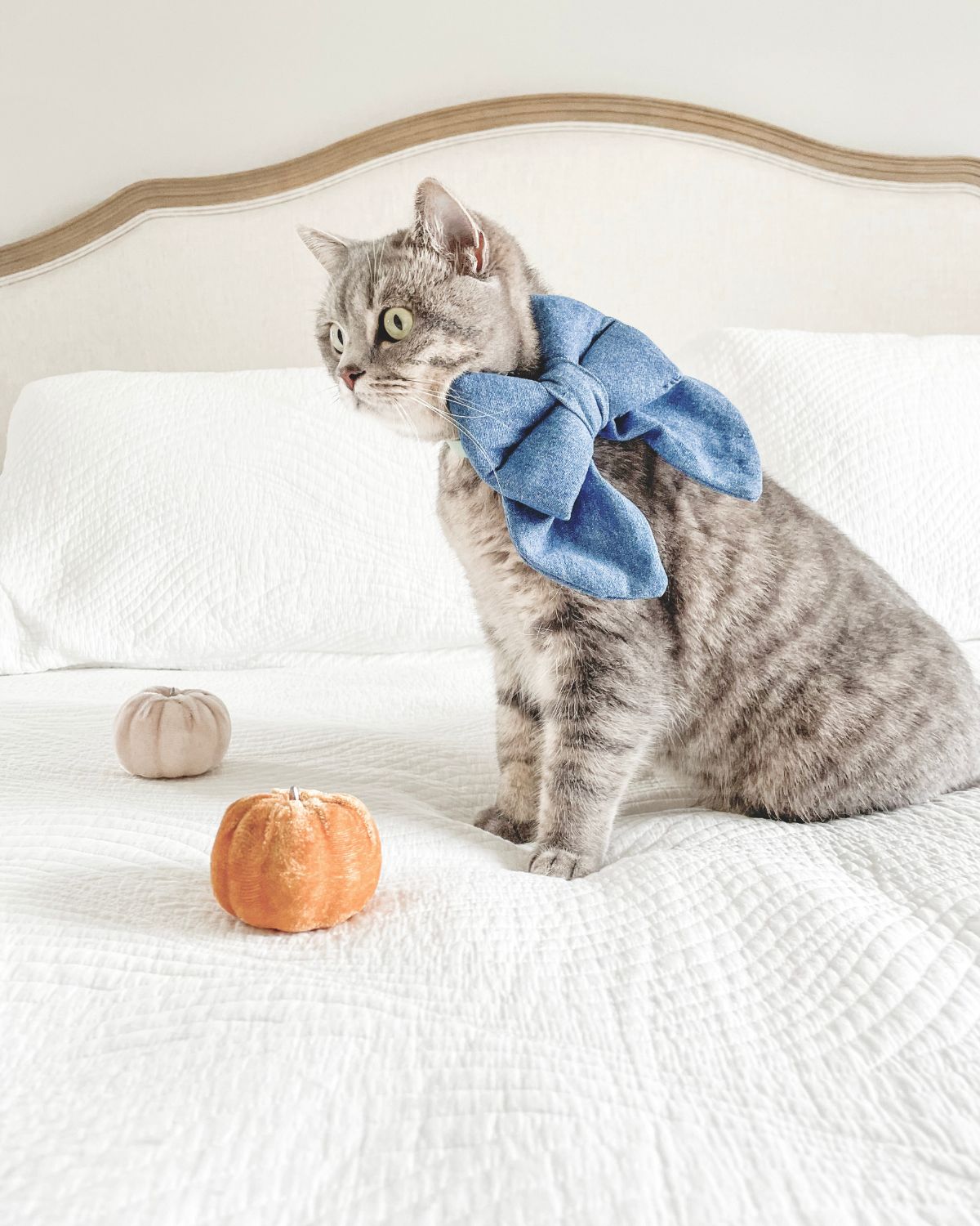 Denim Sailor Bow image 2