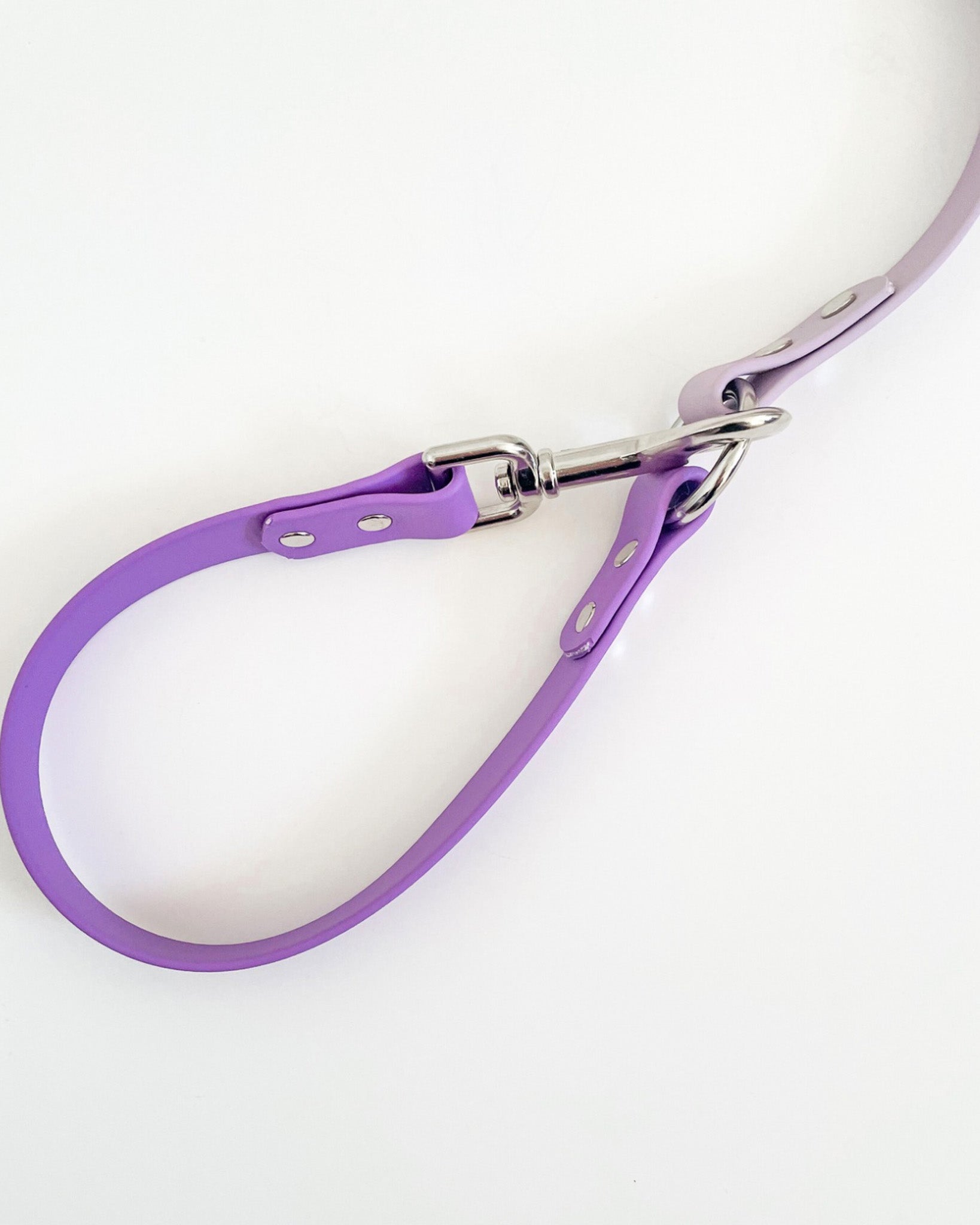 2-in-1 Slip Lead image 2