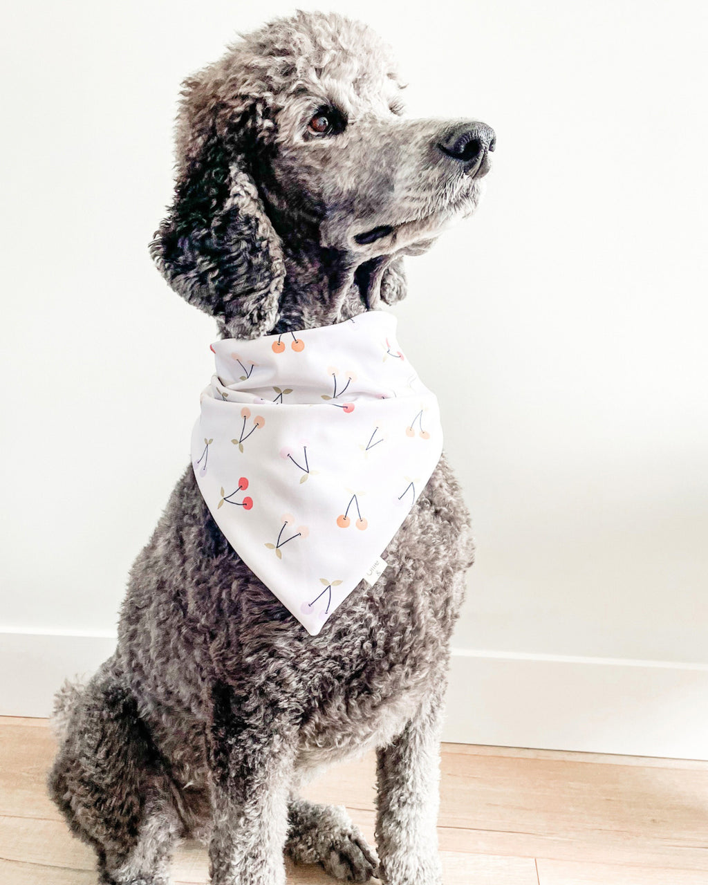 Cherry on Top image 3