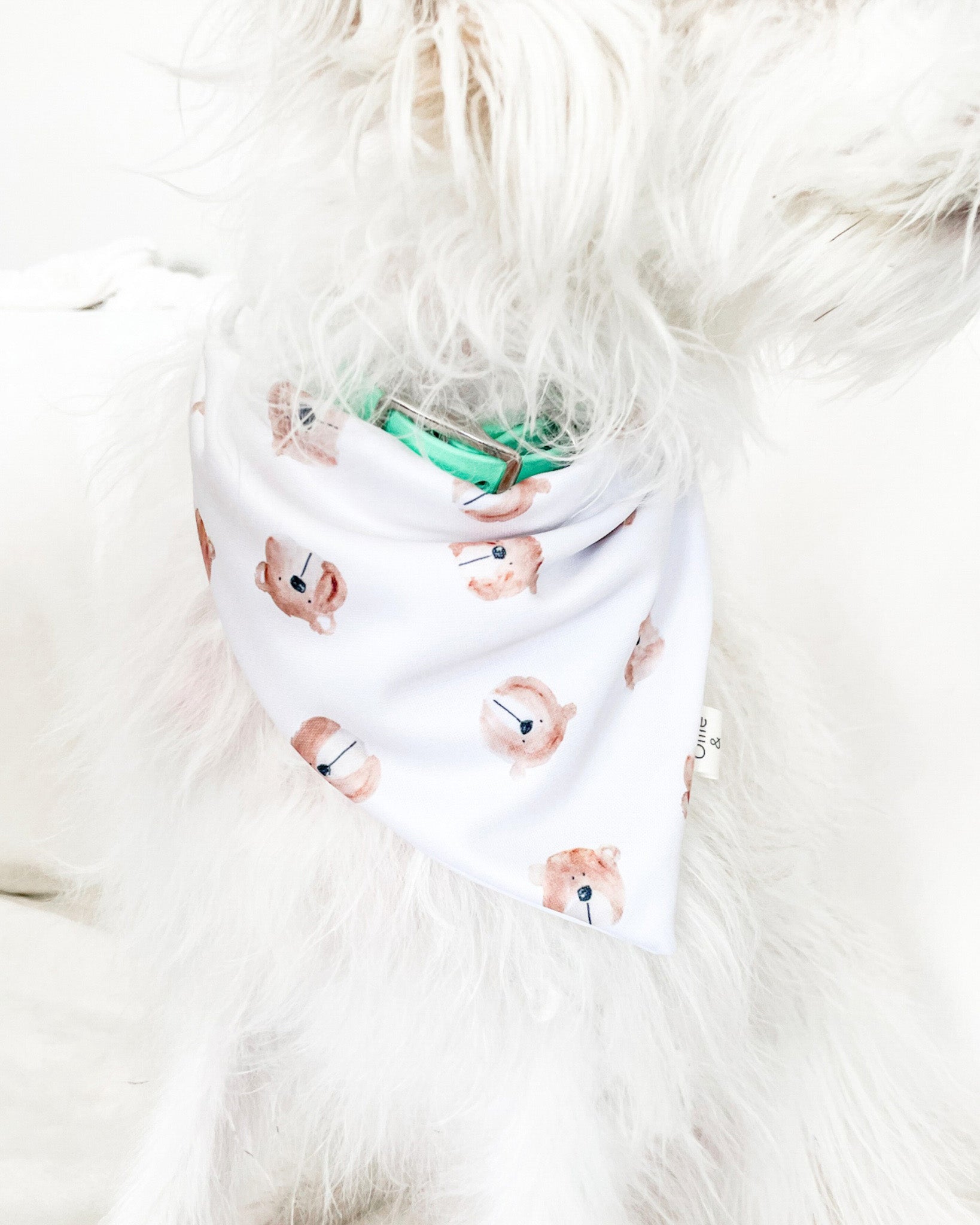 Unbearably Cute image 4